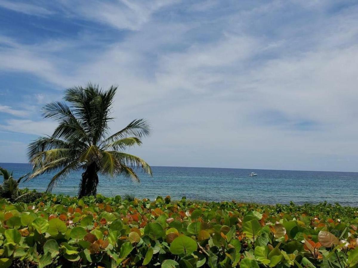 Beautiful Spacious And Luxury Delray Beach House! Near The Beach! 외부 사진